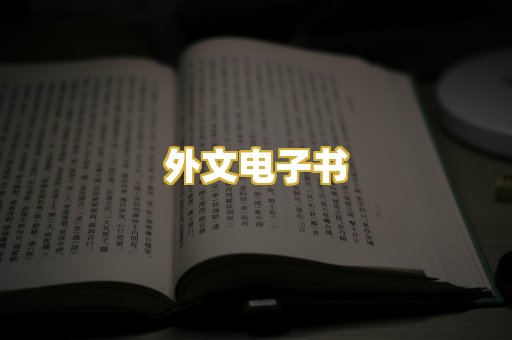 外文电子书
